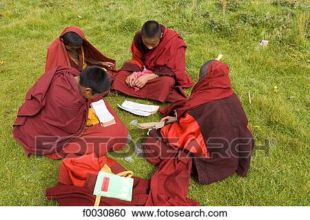 China, Qinghai, Tibetan young novice studying View Large Photo Image Stock Image - China, Qinghai, Tibetan young novice studying. Fotosearch