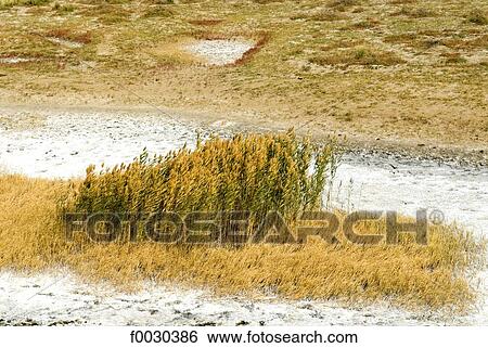 Stock Photograph - China, Xinjiang, Altay Massif, desert landscape. Fotosearch