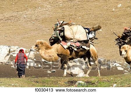 China, Xinjiang, Altay Massif, Kazak nomad View Large Photo Image Stock Image - China, Xinjiang, Altay Massif, Kazak nomad. Fotosearch