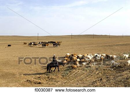 China, Xinjiang, Altay Massif, Kazak shepherd View Large Photo Image Stock Photo - China, Xinjiang, Altay Massif, Kazak shepherd. Fotosearch