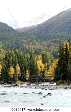 China, Xinjiang, Altay Massif, nature reserve of lake Kanas View Large Photo Image Stock Photo - China, Xinjiang, Altay Massif, nature reserve of lake Kanas. Fotosearch