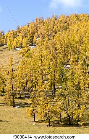China, Xinjiang, Altay Massif View Large Photo Image Picture - China, Xinjiang, Altay Massif. Fotosearch