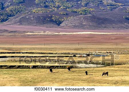 China, Xinjiang, Altay Massif View Large Photo Image Stock Image - China, Xinjiang, Altay Massif. Fotosearch