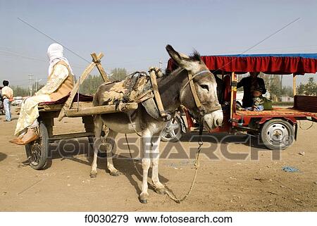 China, Xinjiang, Keriya, market, cart View Large Photo Image Stock Photo - China, Xinjiang, Keriya, market, cart. Fotosearch