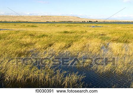 China, Xinjiang, near Buerjin, desert landscape View Large Photo Image Stock Image - China, Xinjiang, near Buerjin, desert landscape. Fotosearch