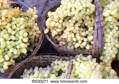 China, Xinjiang, near Turpan, grapes View Large Photo Image Stock Image - China, Xinjiang, near Turpan, grapes. Fotosearch
