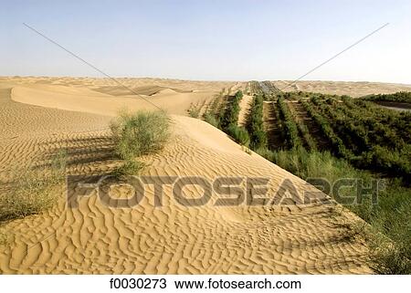 Stock Image - China, Xinjiang, Taklamakan desert. Fotosearch