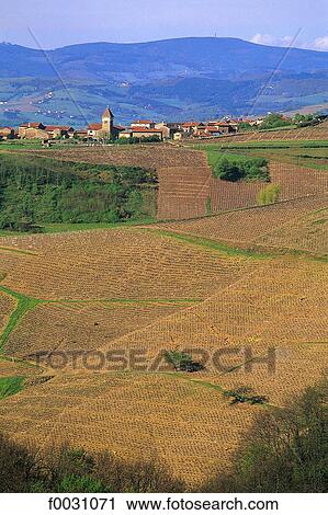 France, Beaujolais region, near Oingt, vines and village View Large Photo Image Stock Image - France, Beaujolais region, near Oingt, vines and village. Fotosearch