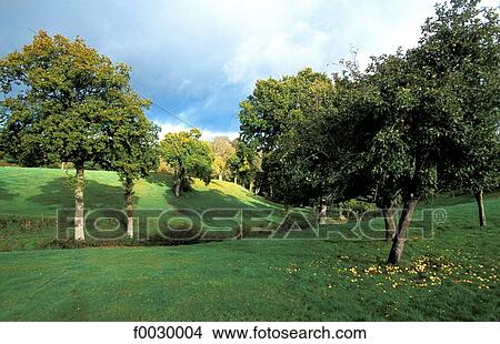 France, Brittany, country landscape View Large Photo Image Picture - France, Brittany, country landscape. Fotosearch