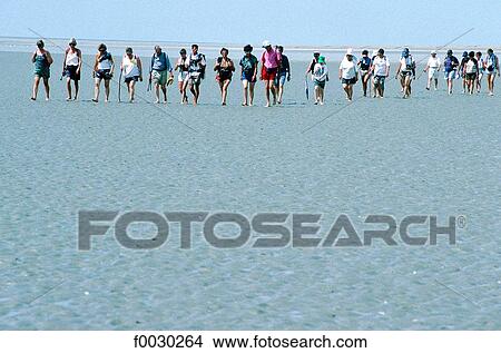 France, Normandy, Mont Saint-Michel bay at low tide, strollers View Large Photo Image Picture - France, Normandy, Mont Saint-Michel bay at low tide, strollers. Fotosearch