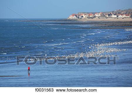 Stock Image - France, Pas-de-Calais, Opal Coast, beach of Pointe aux Oies and Audresselles burg at back. Fotosearch