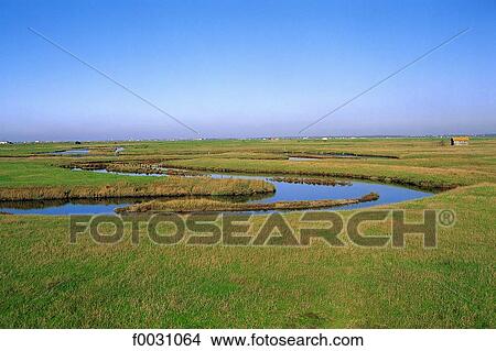 Picture - France, Poitou Charentes, near Nieule-sur-Seudre, marshland. Fotosearch
