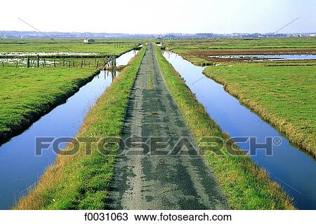 France, Poitou Charentes, near Nieule-sur-Seudre, marshland View Large Photo Image Stock Image - France, Poitou Charentes, near Nieule-sur-Seudre, marshland. Fotosearch