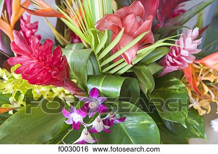 Stock Photograph - French Polynesia, bouquet of tropical flowers. Fotosearch