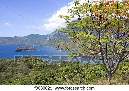 Stock Photography - French Polynesia, Marquesas archipelago, Hiva Oa island. Fotosearch