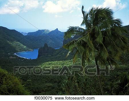 French Polynesia, Marquesas archipelago, Nuku Hiva island, Hatiheu bay View Large Photo Image Stock Photography - French Polynesia, Marquesas archipelago, Nuku Hiva island, Hatiheu bay. Fotosearch