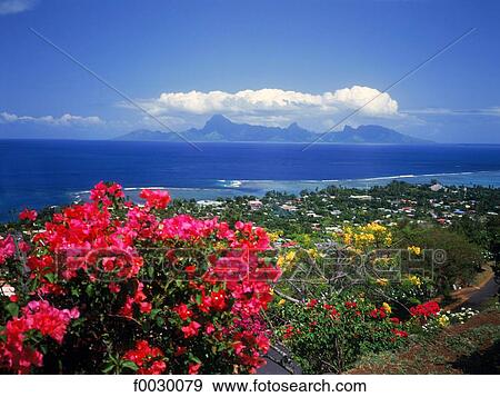 Stock Photo - French Polynesia, Tahiti island island, Punaauia and Moorea island at back. Fotosearch