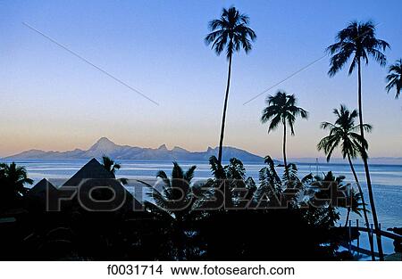 French Polynesia, Tahiti island. View Large Photo Image Picture - French Polynesia, Tahiti island.. Fotosearch