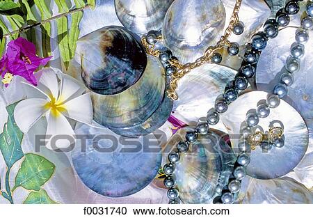 Stock Image - French Polynesia, Tahiti island, Papeete, black pearl and mother-of-pearl.. Fotosearch