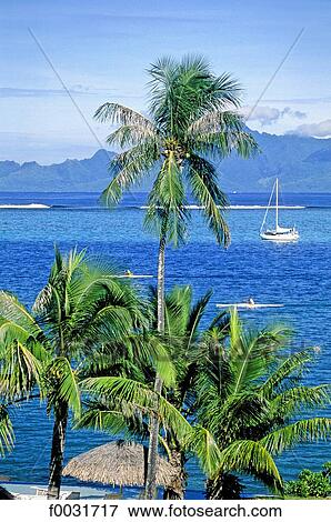 Stock Photo - French Polynesia, Tahiti island.. Fotosearch