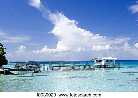 Stock Image - French Polynesia, Tuamotus, Fakarava atoll. . Fotosearch