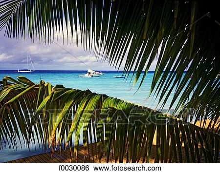 French Polynesia, Tuamotus, Rangiroa, view of the lagoon View Large Photo Image Stock Photograph - French Polynesia, Tuamotus, Rangiroa, view of the lagoon. Fotosearch