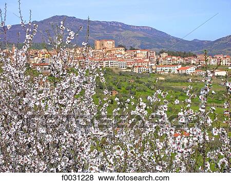 Italy, Sicily, Madonie mountains natural park, Castelbuono View Large Photo Image Stock Photo - Italy, Sicily, Madonie mountains natural park, Castelbuono. Fotosearch