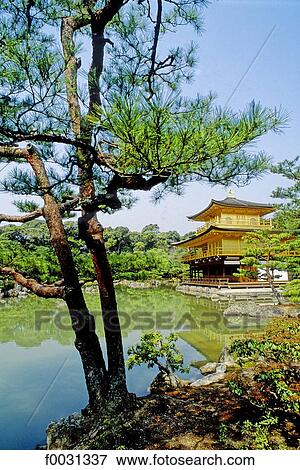 Japan, Kyoto, golden pavilion View Large Photo Image Stock Photo - Japan, Kyoto, golden pavilion. Fotosearch