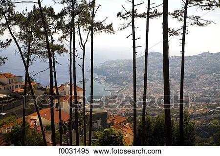 Portugal, Madeira, Funchal, general view View Large Photo Image Stock Photography - Portugal, Madeira, Funchal, general view. Fotosearch
