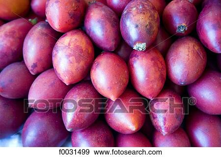 Stock Photo - Portugal, Madeira, Funchal, passion fruits. Fotosearch