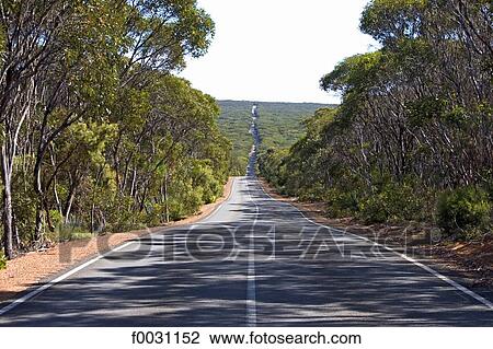 Stock Image - South Australia, Kangaroo island, road and perspective. Fotosearch