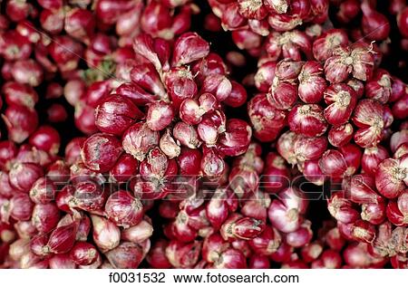 Stock Image - Thailand, Bangkok, Chatuchak market, small onions. Fotosearch