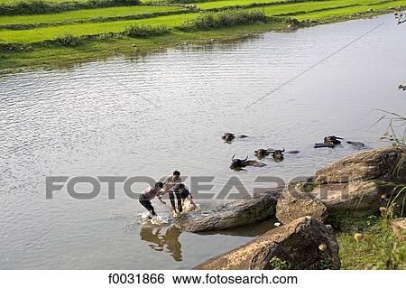 Vietnam, Lai Chau, children playing in the river. View Large Photo Image Stock Photograph - Vietnam, Lai Chau, children playing in the river.. Fotosearch
