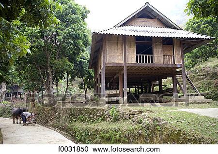 Vietnam, Mai Chau, house on stilts. View Large Photo Image Stock Image - Vietnam, Mai Chau, house on stilts.. Fotosearch