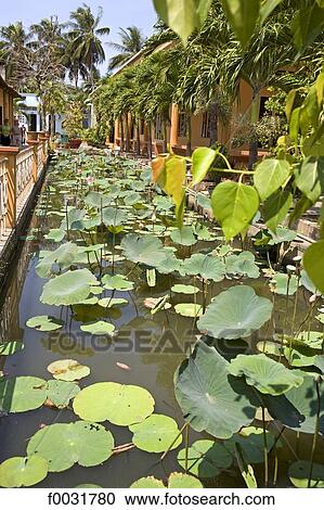 Vietnam, My Tho, Vinh Trang pagoda, pond. View Large Photo Image Stock Image - Vietnam, My Tho, Vinh Trang pagoda, pond.. Fotosearch