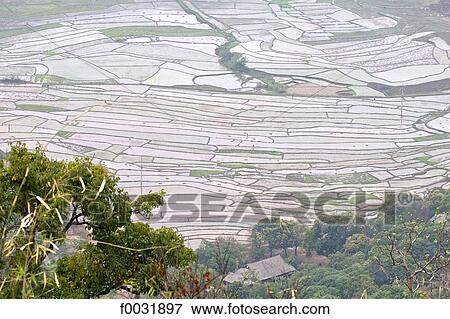 Stock Photo - Vietnam, road to Lai Chau, fields.. Fotosearch