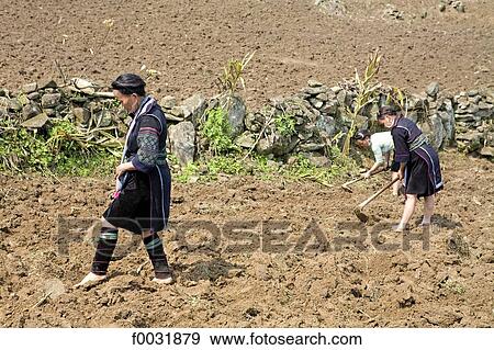 Vietnam, Sappa, Hmong peasants in traditional costume. View Large Photo Image Stock Photo - Vietnam, Sappa, Hmong peasants in traditional costume.. Fotosearch