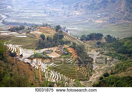 Stock Photography - Vietnam, Sappa, ricefields.. Fotosearch