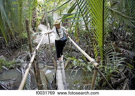 Vietnam, village by Mang Thit river, woman crossing a wood beidge. View Large Photo Image Stock Photo - Vietnam, village by Mang Thit river, woman crossing a wood beidge.. Fotosearch