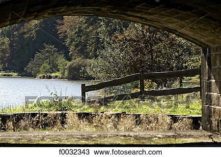 France, Auvergne, forest of Troncais View Large Photo Image Stock Image - France, Auvergne, forest of Troncais. Fotosearch