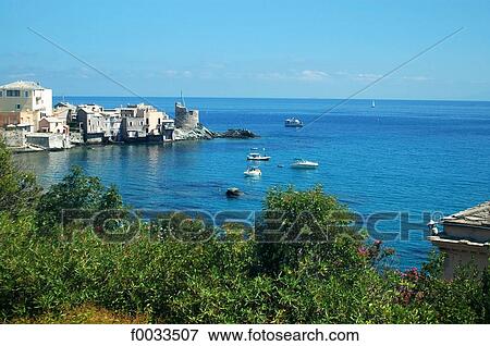 France, Corsica, Erbalunga, genovese tower View Large Photo Image Stock Photo - France, Corsica, Erbalunga, genovese tower. Fotosearch