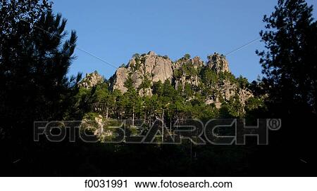 France, Corsica, Restonica valley. View Large Photo Image Stock Image - France, Corsica, Restonica valley.. Fotosearch