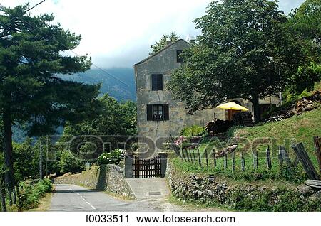 France, Corsica, ruined house View Large Photo Image Stock Image - France, Corsica, ruined house. Fotosearch