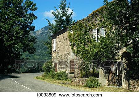 France, Corsica, ruined house View Large Photo Image Stock Photo - France, Corsica, ruined house. Fotosearch
