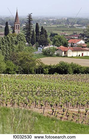 France, Languedoc, Gaillac, vineyards View Large Photo Image Stock Image - France, Languedoc, Gaillac, vineyards. Fotosearch