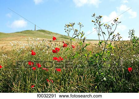 Stock Image - France, Pas-de-Calais, Cap Blanc Nez.. Fotosearch