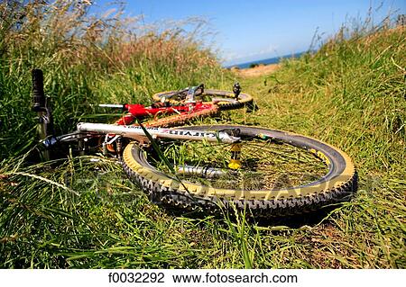 France, Pas-de-Calais, moutain bike. View Large Photo Image Stock Image - France, Pas-de-Calais, moutain bike.. Fotosearch