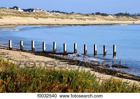 France, Pays de la loire, Noirmoutier, Barbatre, the beach View Large Photo Image Stock Image - France, Pays de la loire, Noirmoutier, Barbatre, the beach. Fotosearch