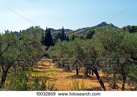 France, Provence, Alpilles View Large Photo Image Stock Photo - France, Provence, Alpilles. Fotosearch