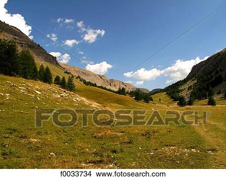 France, Provence, Verdon, valley of Allos View Large Photo Image Picture - France, Provence, Verdon, valley of Allos. Fotosearch